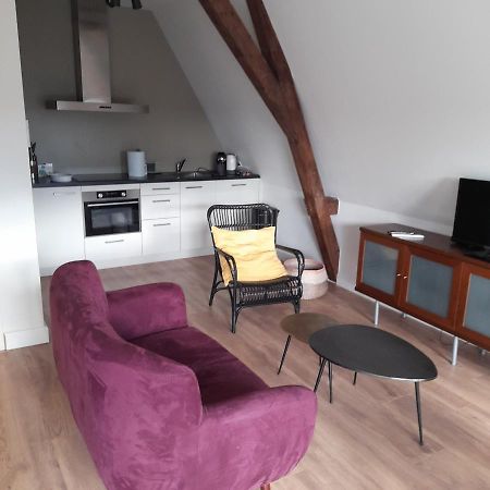 Historic Renovated Apartment With Balcony And Garden View Гауда Екстериор снимка